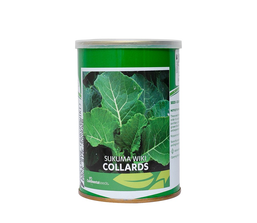 Collard seeds